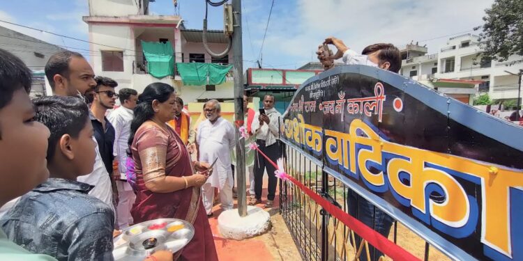 राज्यसभा सांसद माया नारोलिया ने अशोक वाटिका उद्यान का फीता काटकर किया लोकार्पण,इस अवसर पर बड़ी संख्या में हाउसिंग बोर्ड ,न्यास कॉलोनी के रहवासियों ने भाजपा की सदस्यता ग्रहण की..