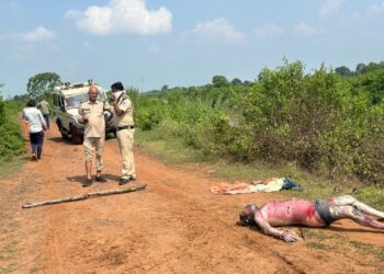 नहर में लाश मिलने से ग्रामीणों में सनसनी, हर वर्ष बहकर आते हैं शव