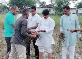 अधिकारी को लेकर किसानों के खेतों पर पहुंचे”विधायक घनश्याम चंद्रवंशी”