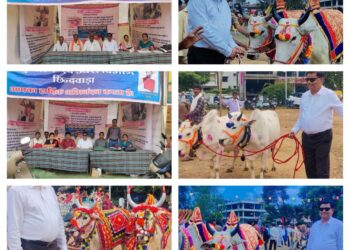 *स्थानीय पोला ग्राउंड छिंदवाड़ा में पशुपालन एवं डेयरी विभाग द्वारा पशु चिकित्सा शिविर व युवा संवाद का किया गया आयोजन*
