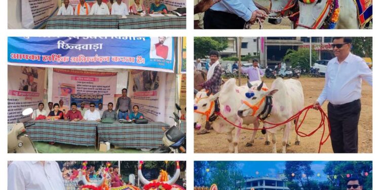 *स्थानीय पोला ग्राउंड छिंदवाड़ा में पशुपालन एवं डेयरी विभाग द्वारा पशु चिकित्सा शिविर व युवा संवाद का किया गया आयोजन*