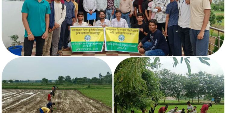 कृषि विज्ञान केन्द्र कटनी र्में कृषि महाविद्यालय जबलपुर के रावे छात्र सीख रहे खेती की तकनीक,