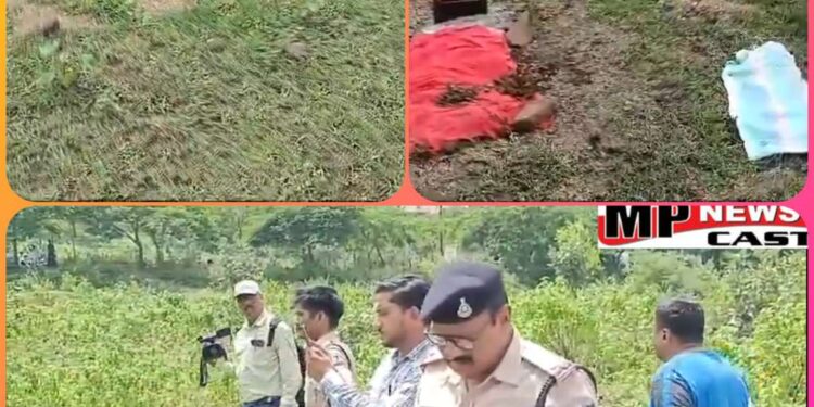 भोपाल – कोलार ग्रीन हिल्स के सामने बच्चों की कब्रें मिलने से सनसनी, नगर निगम अमला मौके पर पहुंचा, कोलार थाना पुलिस जांच में जुटी। VIDEO