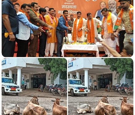 गौमाता को नहीं मिल रहा मुख्यमंत्री योजनाओं का लाभ, लगातार लगा रही सरकारी दफ्तरो के चक्कर देखे फोटो