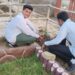 **कटनी में हरियाली की लहर: विद्या लोक सेवा फाउंडेशन ने लगाए 5100 पौधे**