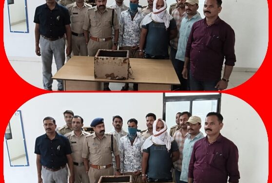 श्री चंद्रप्रभु दिगम्बर जैन मंदिर में हुई चोरी का कोतवाली पुलिस ने किया खुलासा आयोजित प्रेस वार्ता मे दी जानकारी