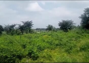 वक्फ बोर्ड की 96 बीघा जमीन की गई जब्त वापस ली गई जमीन सरकारी खाते में दर्ज देखे .VIDEO