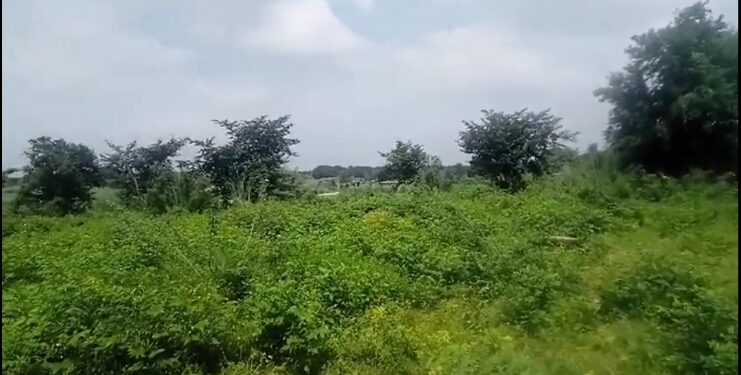 वक्फ बोर्ड की 96 बीघा जमीन की गई जब्त वापस ली गई जमीन सरकारी खाते में दर्ज देखे .VIDEO