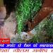 *प्रसिद्ध महाकालेश्वर मंदिर के पास हादसा, 2 की मौत, 2 घायल* *देखिऐ VIDEO*