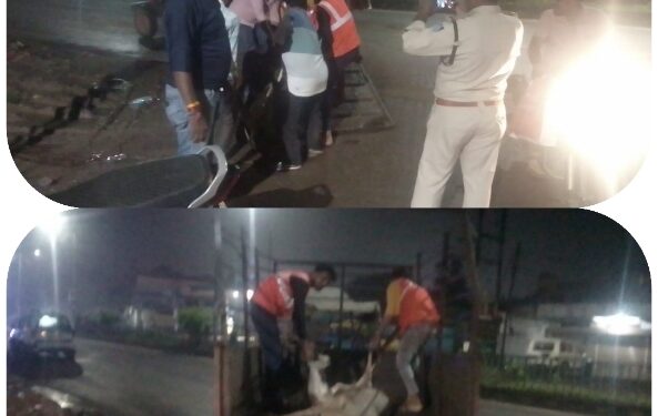 दुर्घटनाग्रस्त गौवंश की मौत  की सूचना पर निगमायुक्त शिशिर गेमावत के निर्देश में की गई त्वरित कार्यवाही