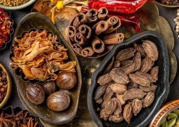 मसालों मे मिलावट को कैसे पहचाने आईऐ देखते
