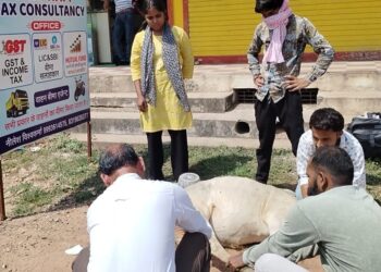 समाज सेविका की सेवा भावना देखे VIDEO 