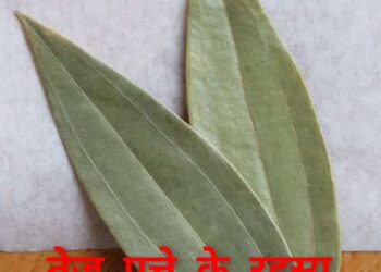 *आईऐ देखते है तेज पत्ते के रहस्य*