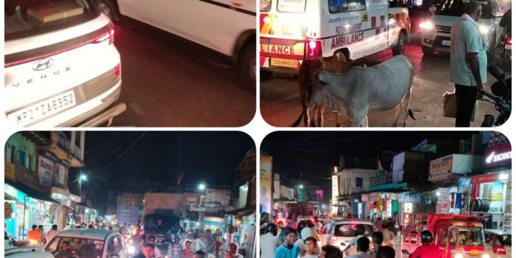जाम की समस्या से हर रोज ग्रामीणों को होना पड़ता है परेशान उमरियापान की हर सड़क पर लगता है जाम, एम्बुलेंस और जननी वाहनों का निकलना हो जाता है मुश्किल