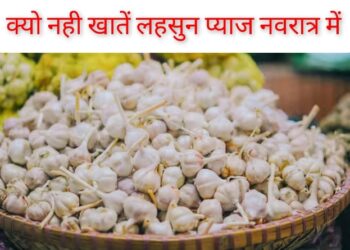 देखिऐ नवरात्र में लहसुन प्याज क्यों नही खातें