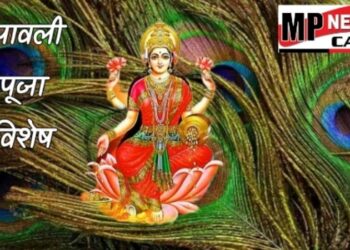 मोर पंख का महात्व दीवाली पूजन में  लक्ष्मी का होता है वास आती है सुख समृद्धि…