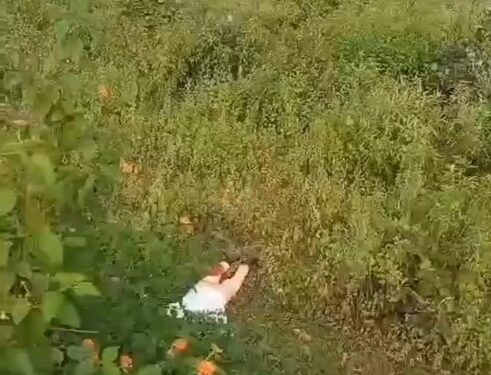 *कटनी के सलनाह रेल्वे स्टेशन के पास रात्रि में शक्तिपुंज एक्सप्रेस से गिर कर घायल हुआ 23 वर्षीय युवक, डायल-100 जवानों ने चिकित्सा वाहन से अस्पताल पहुँचाया*