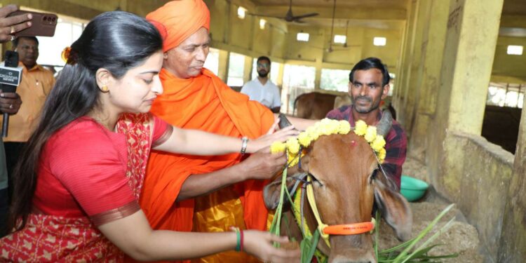 कलेक्टर ने नर्मदापुरम के आर्ष गुरुकुल में स्थित गौशाला पहुंच कर की गौ सेवा,गौ माता की कृपा अद्वितीय है : कलेक्टर सोनिया मीना