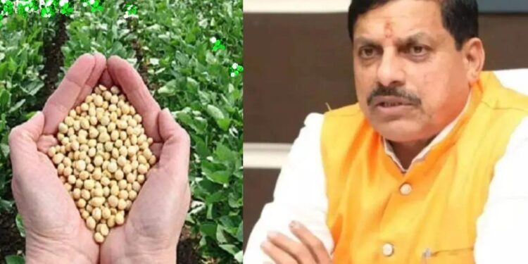 पीले सोने की आवक तेज दमक रही कालापीपल मंडी …।