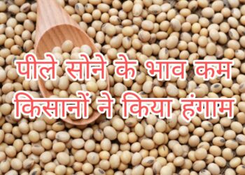 सोयाबीन का भाव कम होने से”किसानों का फूटा गुस्सा”चार घन्टें के लग-भग मण्डी बंद रही