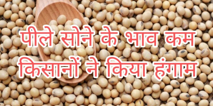 सोयाबीन का भाव कम होने से”किसानों का फूटा गुस्सा”चार घन्टें के लग-भग मण्डी बंद रही