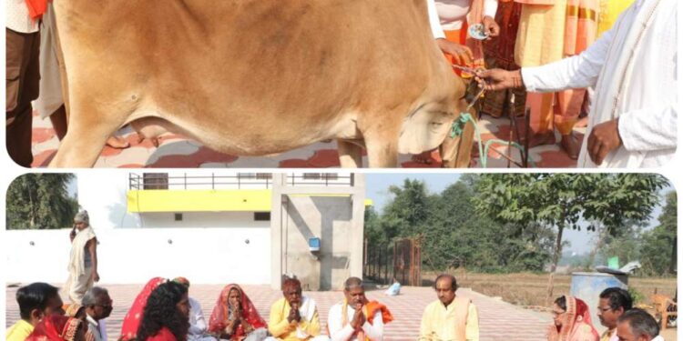 गौ पूजा के साथ यज्ञ प्रारंभ, भगवान का नगर भ्रमण आज, जानिए शोभायात्रा का रूट….
