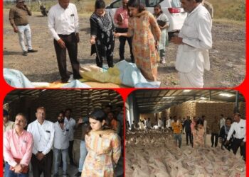कलेक्टर सुश्री ऋजु बाफना ने आज सुनेरा क्षेत्र के सोयाबीन उपार्जन केन्द्र सत्येश्वर वेयर हाउस का निरीक्षण किया।
