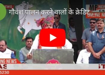गौवंश पालन करने वालों के क्रेडिट कार्ड बनाए  डॉ.मोहन यादव, मुख्यमंत्री