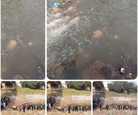 कटनी ब्रेकिंग हाथ बँधा मिला कटनी नदी पुल में बेहता युवक का शव VIDEO