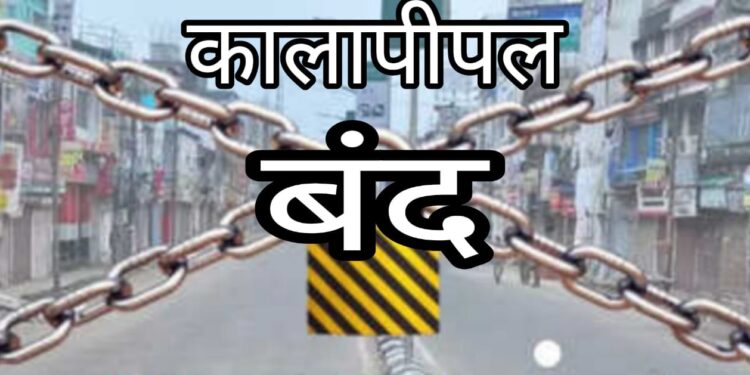 नगर बंद में पुलिस नजर नहीं आई” बांग्लादेश में हिंदुओं पर अत्याचार के विरोध में कालापीपल बंद हिंदू उतरे सड़कों पर….।