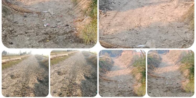 नहर विभाग के अधिकारियों का बहाना साफ सफाई माइनर की करना सिर्फ हो रही खाना पूरी