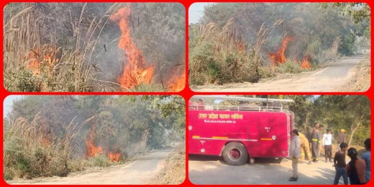 गुंदारा गांव के पास जंगल में लगी आग मौके पर पहुंची फायर ब्रिगेड आग पर पाया काबू