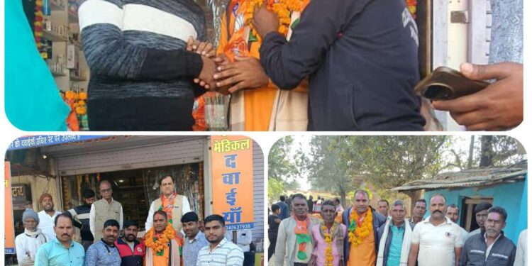 एक छोटे से गांव सगवा के मनीष बागरी को मिला मंडल अध्यक्ष का दायित्व  गांव गांव लोगों से मिलकर लिया आशीर्वाद