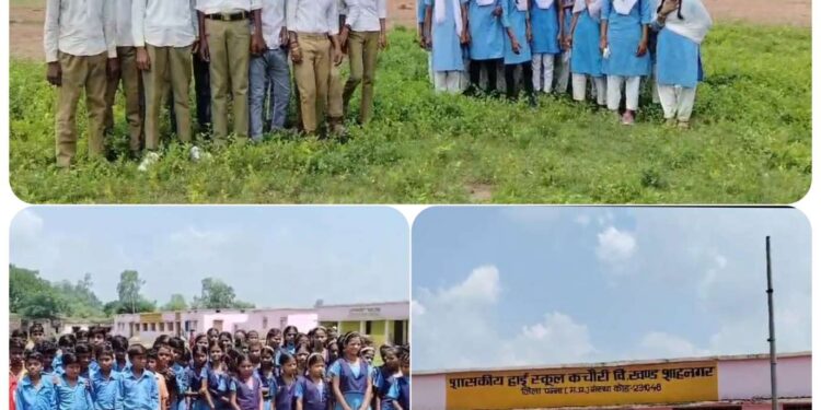 कचौरी शाहनगर!  हाई स्कूल कचौरी में बाउंड्री वॉल न होने से असामाजिक तत्वों का डेरा, बच्चों और शिक्षकों में दहशत का माहौल