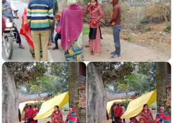 सर्दी आते ही भैंस चोरियों का दौरा हुआ शुरू पुलिस के लिए बना चुनौती