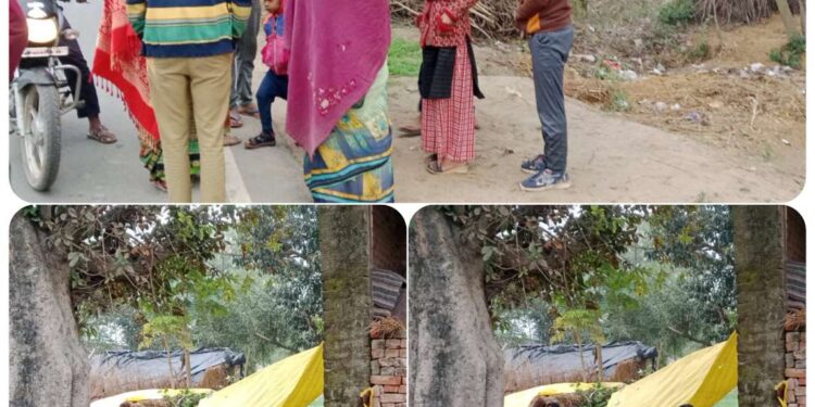 सर्दी आते ही भैंस चोरियों का दौरा हुआ शुरू पुलिस के लिए बना चुनौती