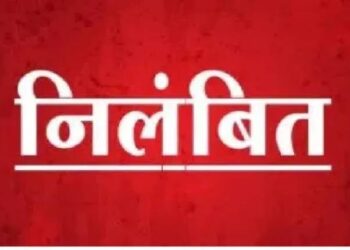 कलेक्टर ने पटवारी को किया निलंबित  असमाधानकारक जवाब फीड करने एवं लापरवाही बरतने पर की गई कार्रवाई
