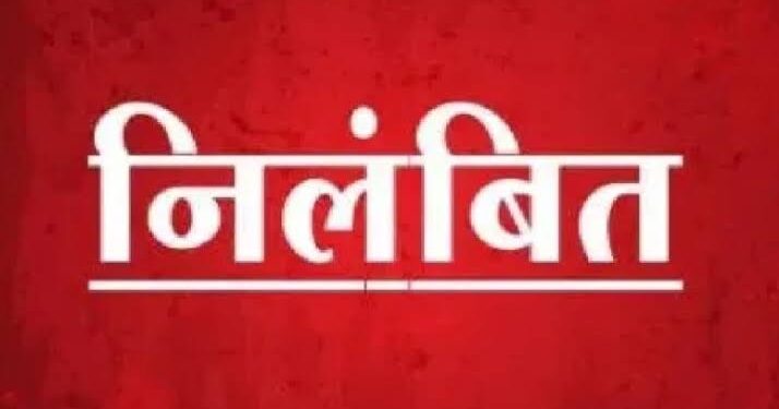 कलेक्टर ने पटवारी को किया निलंबित  असमाधानकारक जवाब फीड करने एवं लापरवाही बरतने पर की गई कार्रवाई