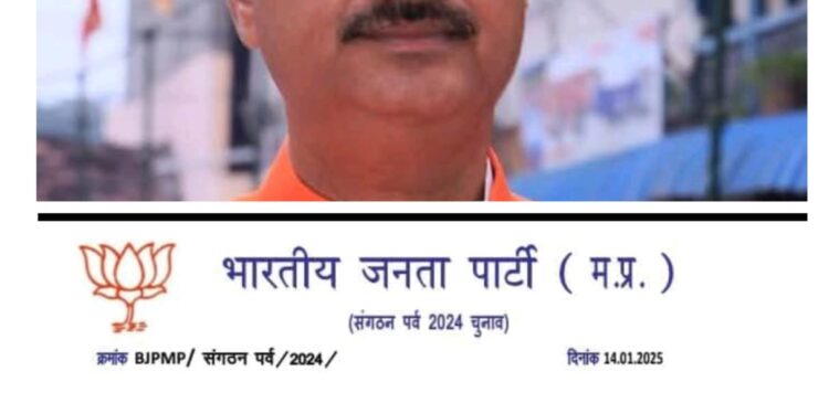 डॉ रवि पांडे बने शाजापुर जिले के नए भाजपा जिलाध्यक्ष..!