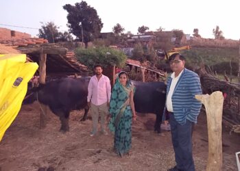 *”सफलता की कहानी”* *दृढ़ निश्चय और सरकारी योजनाओं का लाभ: ग्राम माली की श्रीमती सविता भारती हुईं आर्थिक रूप से सुदृढ़*
