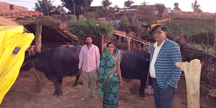*”सफलता की कहानी”* *दृढ़ निश्चय और सरकारी योजनाओं का लाभ: ग्राम माली की श्रीमती सविता भारती हुईं आर्थिक रूप से सुदृढ़*