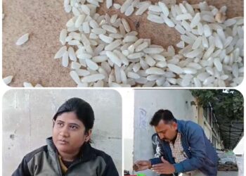 उचित मूल्य दुकानों में सड़े और अमानक स्तर के चावल वितरण का हुआ खुलासा देखे VIDEO