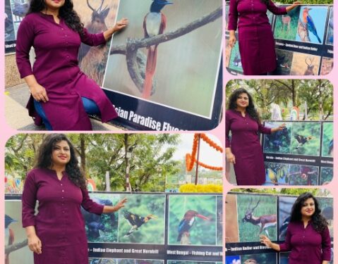 *राष्ट्रीय पक्षी दिवस पर विशेष* *पक्षियों की चहचहाट बचाने की आवश्यकता* *पिंजड़ा नहीं खुले आसमान में है पक्षी का जीवन* *उड़ती पतंग उड़ते परिंदों के लिए है घातक —सारिका**