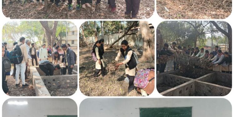 अजोला उत्पादन एवं हाइड्रोपोनिक्स का तकनीकी प्रशिक्षण दिया गया।