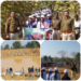 रीठी के छात्रों ने किया वन भ्रमण,और ली वन प्राणियों के विषय में विशेष जानकारी