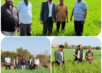 *उप संचालक कृषि श्री सिंह ने टीम के साथ ग्राम झिरलिंगा, झंडा, खापमिट्ठे, जामुनझिरी और पुआमा का विजिट कर फसल स्थिति का अवलोकन किया*
