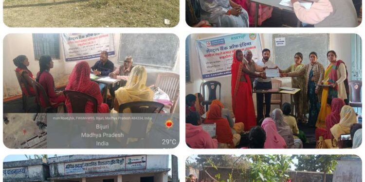 शहडोल में जैविक सब्जी उत्पादन और नर्सरी प्रबंधन प्रशिक्षण परीक्षा संपन्न।