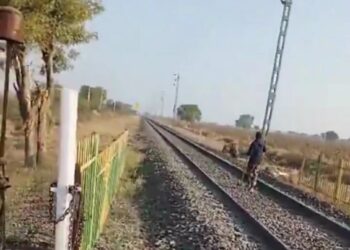 रेलवे ट्रैक पर आया शेर, गाय की तरह हांकने लगा वनकर्मी वायरल वीडियो