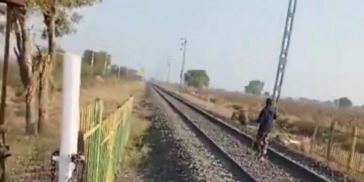 रेलवे ट्रैक पर आया शेर, गाय की तरह हांकने लगा वनकर्मी वायरल वीडियो