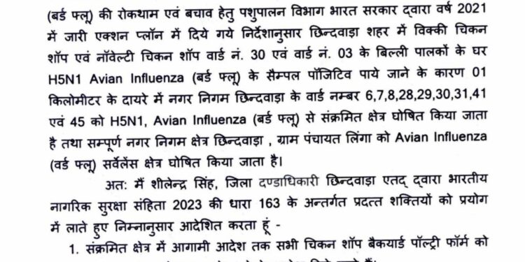 छिन्दवाड़ा शहर के वार्ड नं. 30 एवं वार्ड नं. 03 में (बर्ड फ्लू) के सैम्पल पॉजिटिव पाये जाने के कारण 01 किलोमीटर के दायरे में नगर निगम छिन्दवाड़ा के वार्ड नम्बर 6, 7, 8, 28, 29, 30, 31, 41 एवं 45 को H5N1, एवियन इन्फ्लूएंजा (बर्ड फ्लू) से संक्रमित क्षेत्र घोषित